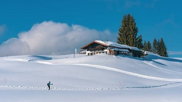Votre guide ultime pour choisir le ski camp idéal pour vos prochaines vacances