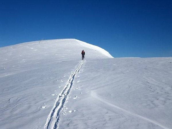 Top 5 des meilleurs campings pour skieurs dans les Pyrénées : Votre guide ultime