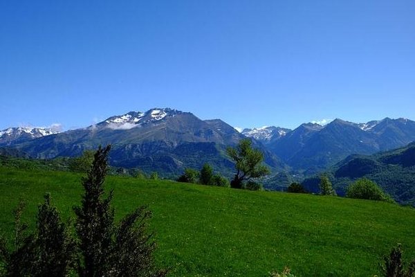 À la découverte de la biodiversité unique : Faune et flore des Pyrénées