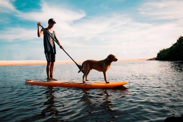 Séjour au camping la Tour des Prises, Île de Ré